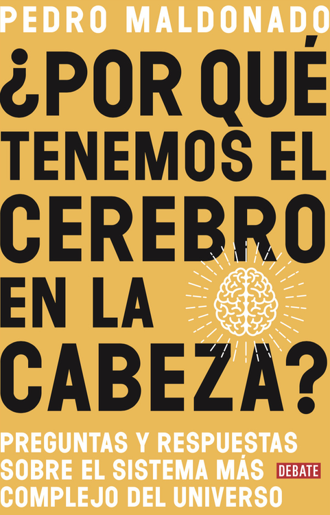 ¿Por qué tenemos el cerebro en la cabeza? : Preguntas y respuestas sobre el sistema más complejo del universo / Pedro Maldonado Arbogast